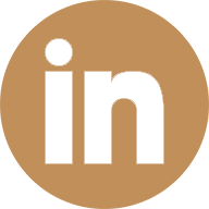 LinkedIn social icon