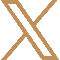 Twitter social icon